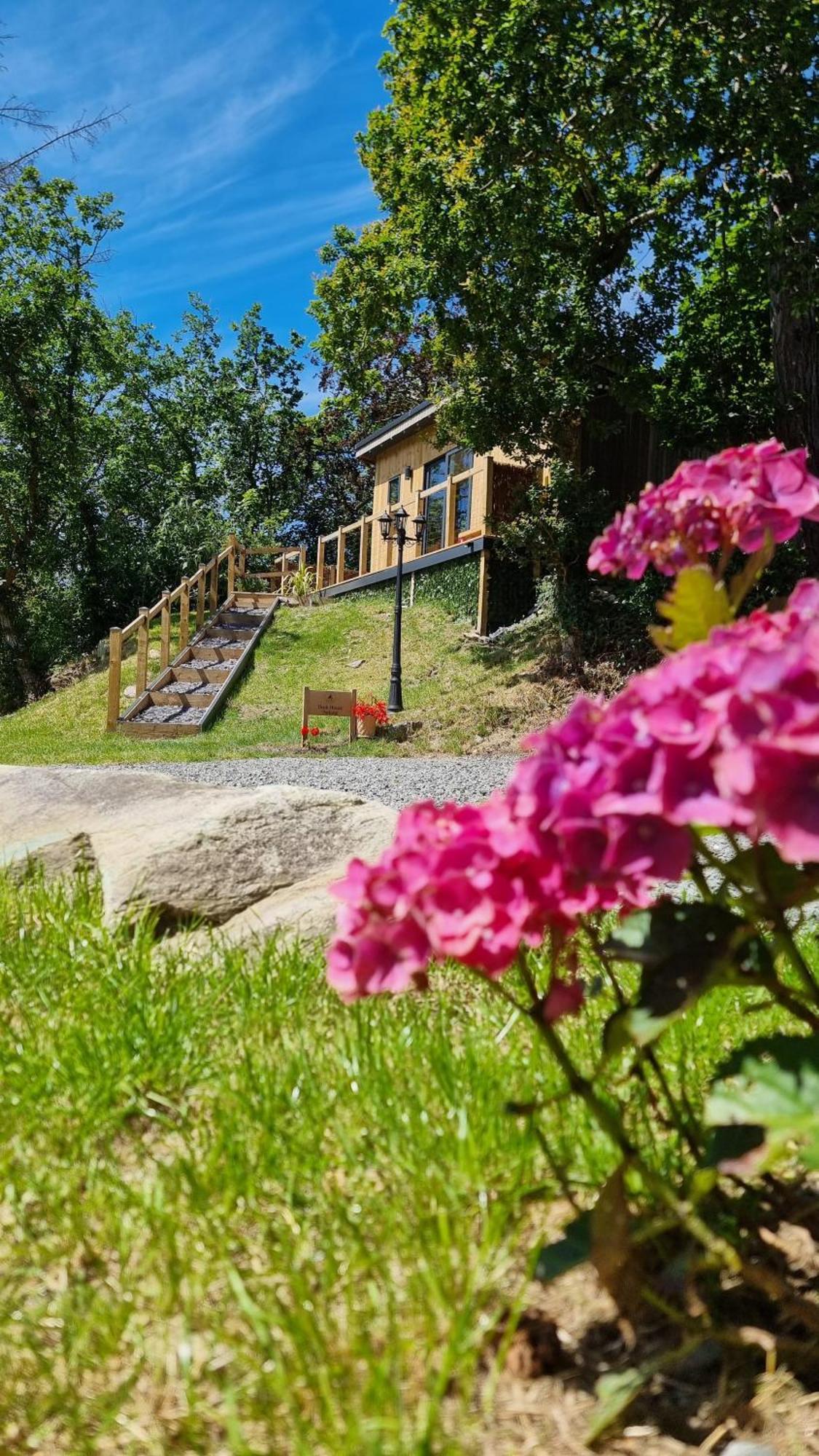 Apartament The Duck House Barmouth Zewnętrze zdjęcie